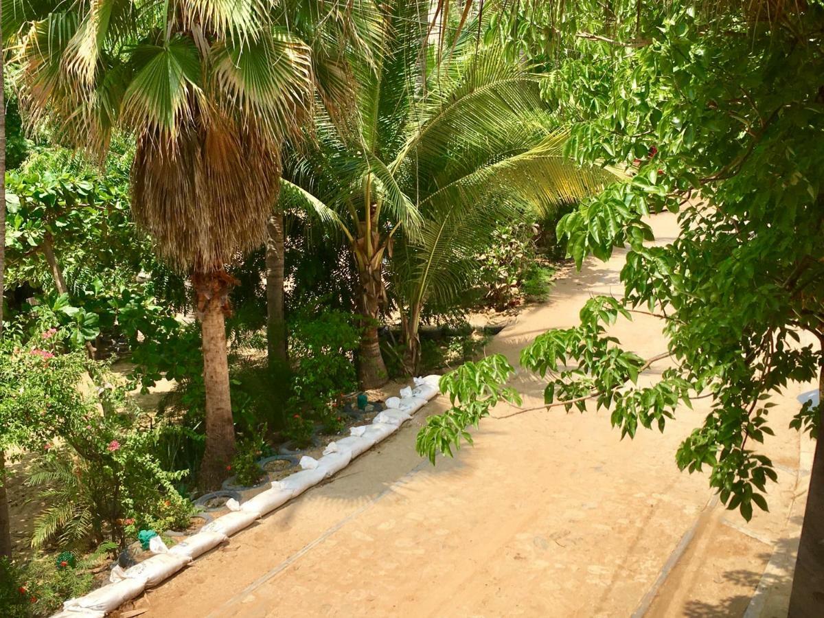 Hotel Rinconcito De Mazunte Santa Maria Tonameca Ngoại thất bức ảnh
